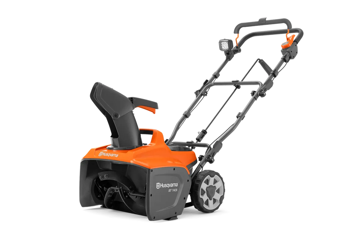 23264