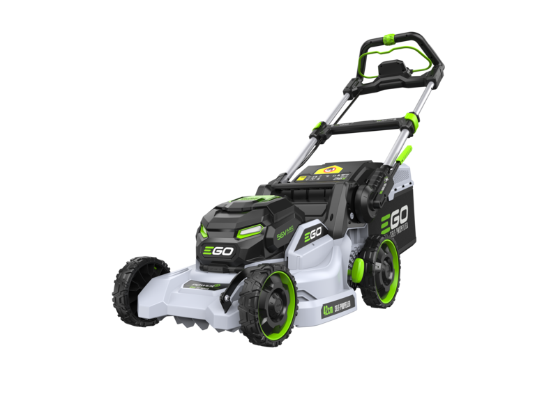 26176