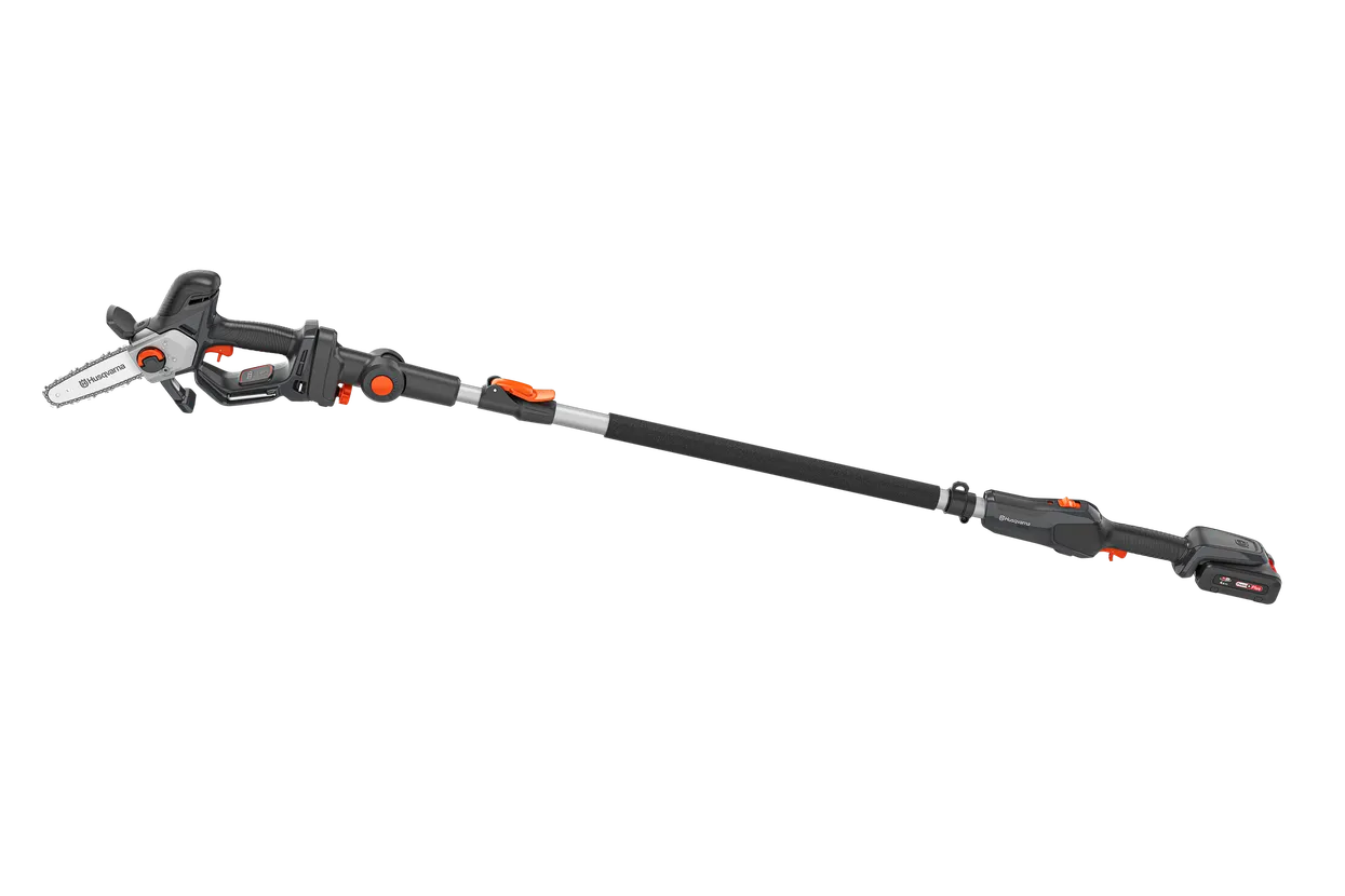 27462
