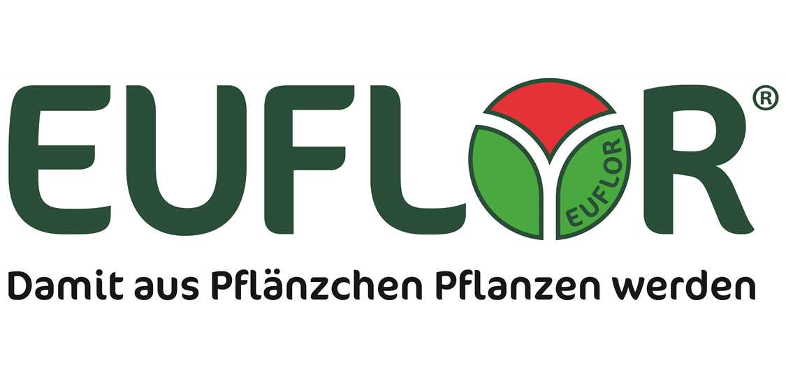 Euflor