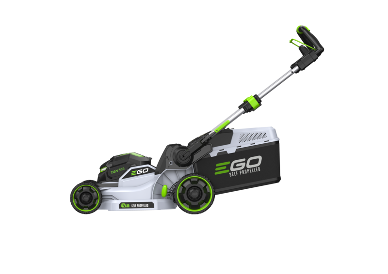 26173