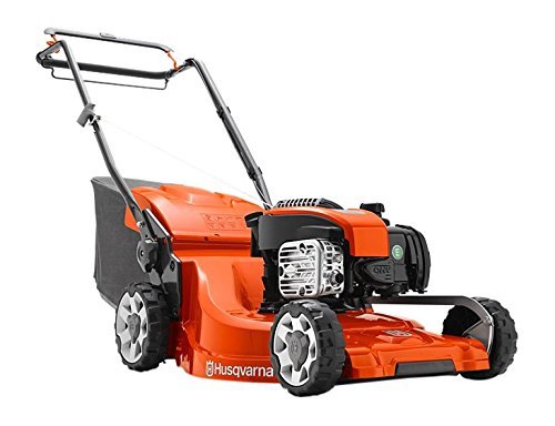 7224