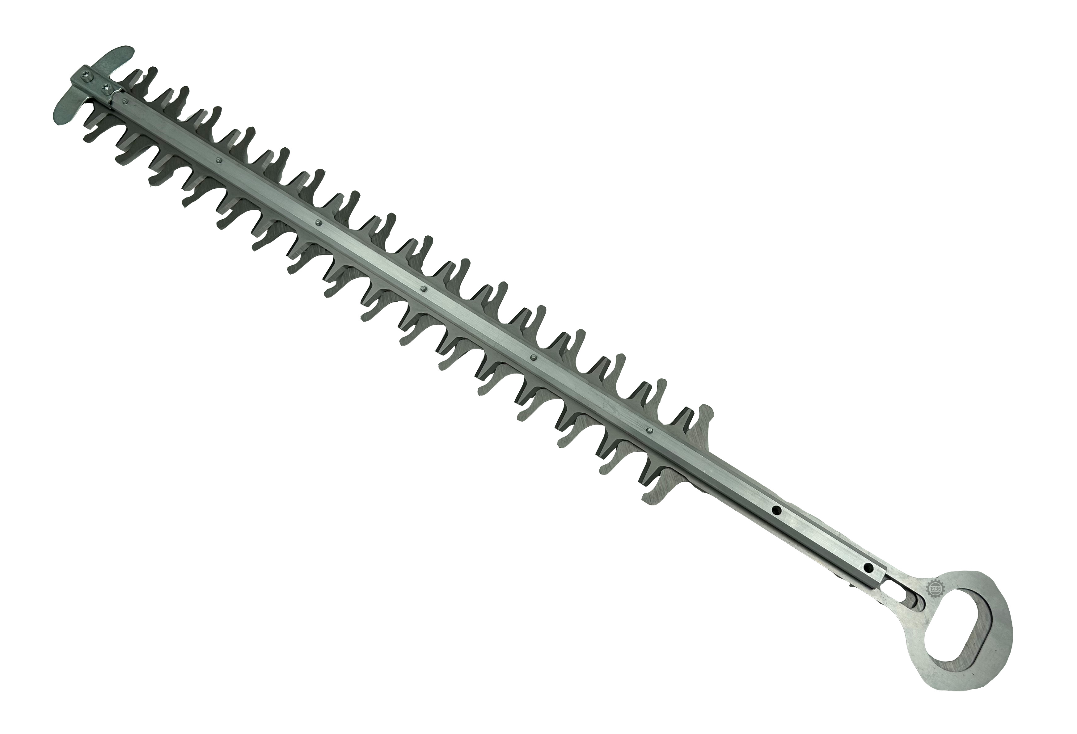 17204
