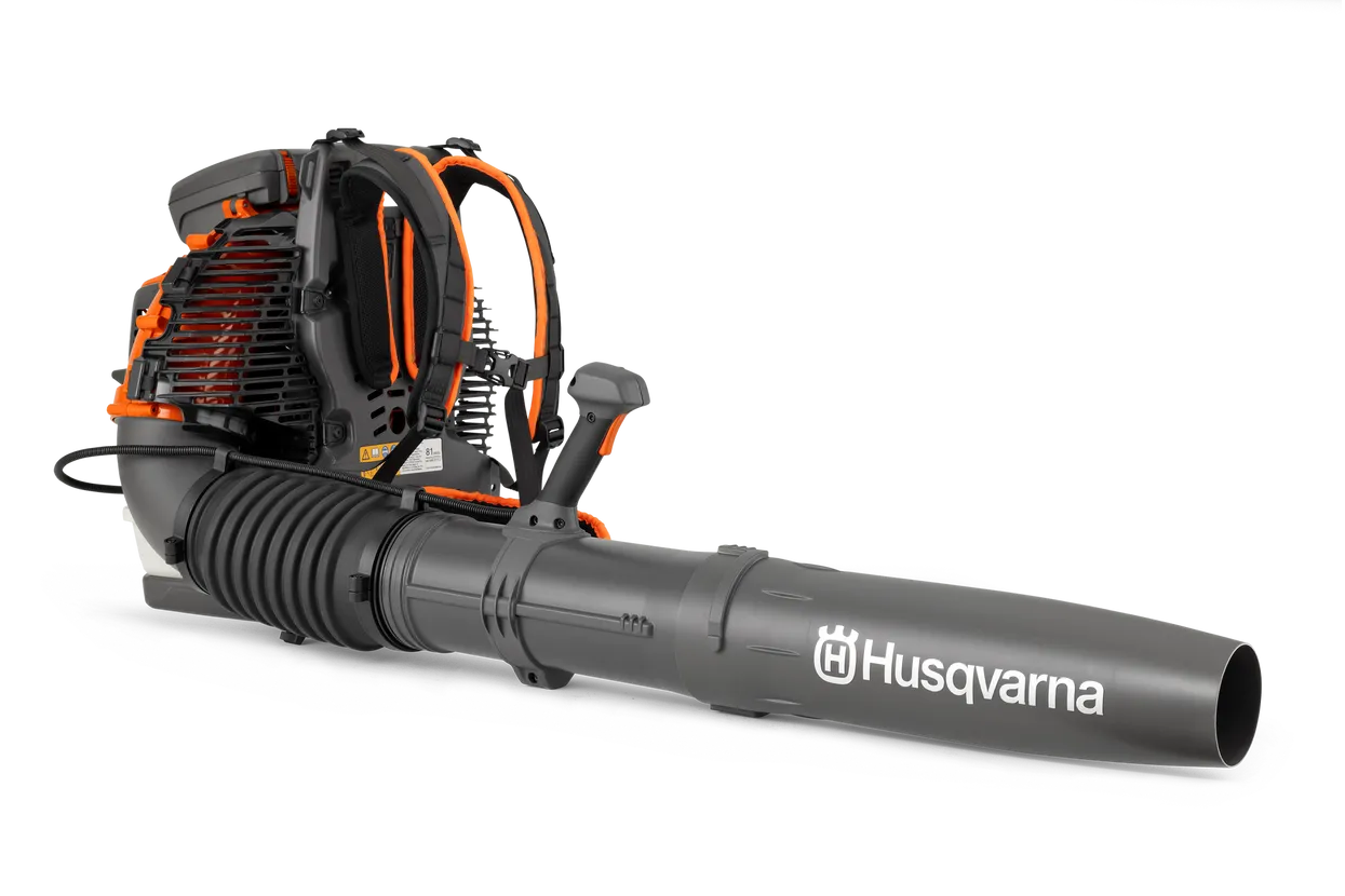 25619