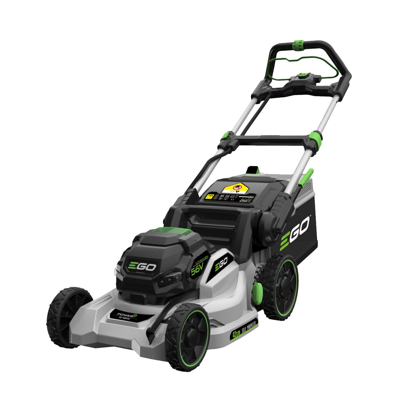 11651