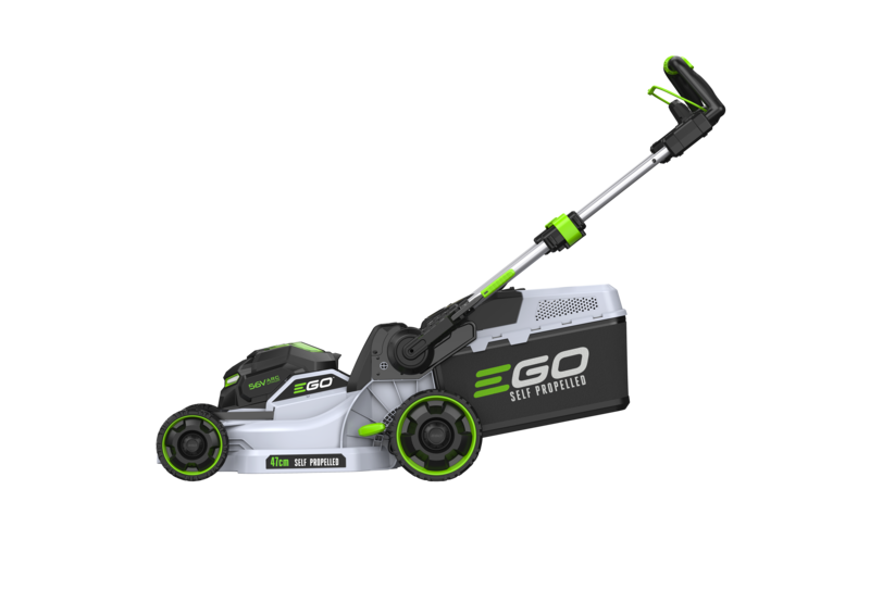 26124