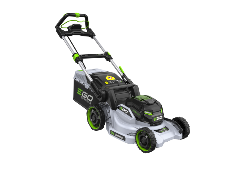 26172